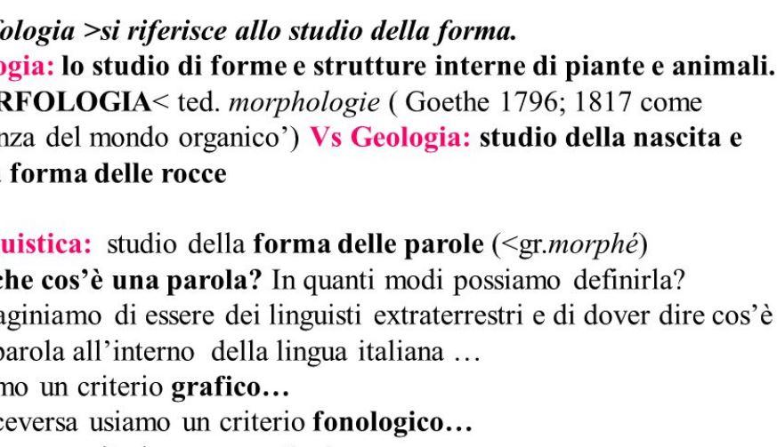 Che cos'è la morfologia in italiano?