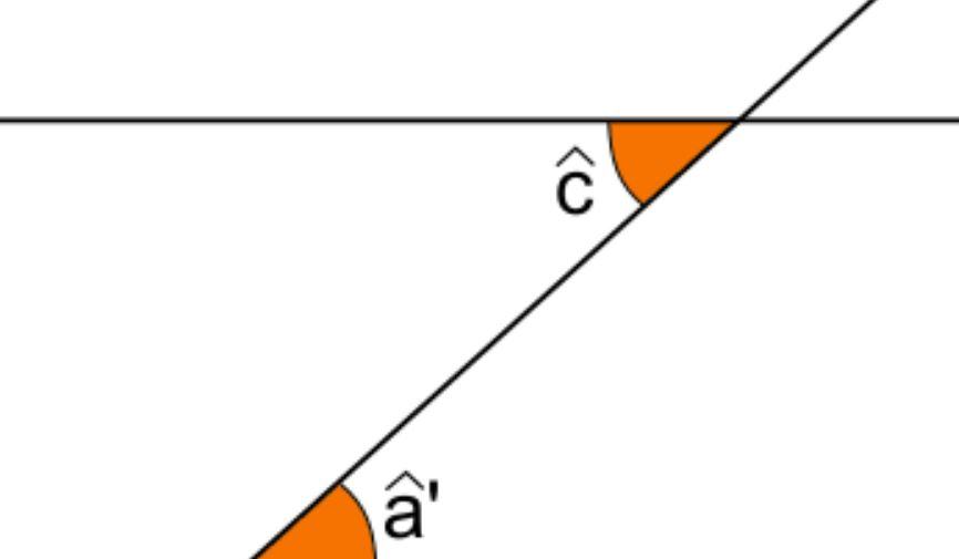 Che cos'è una retta trasversale a due rette parallele?