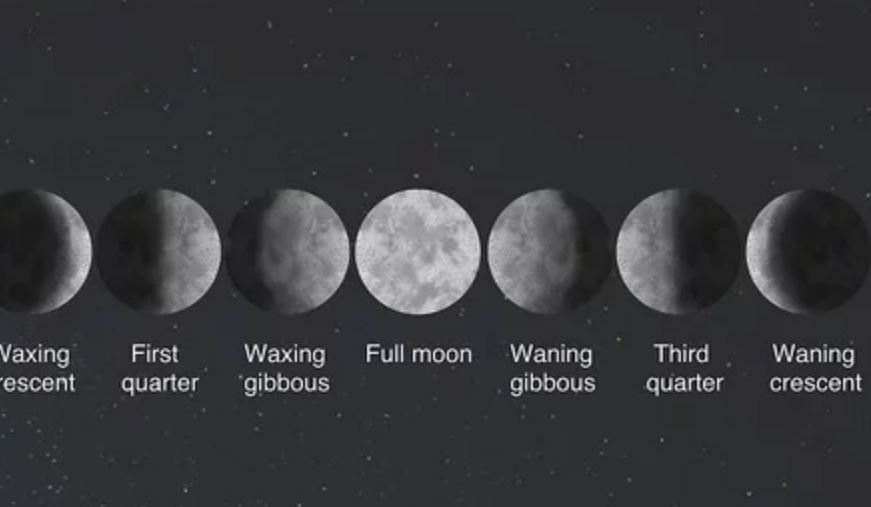 Che differenza c'è tra gibbosa calante e luna calante?