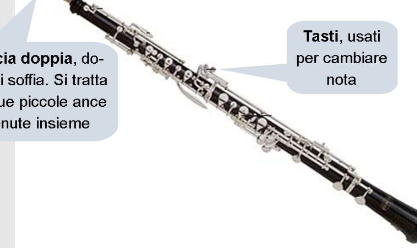 Come si chiama colui che suona l'oboe?