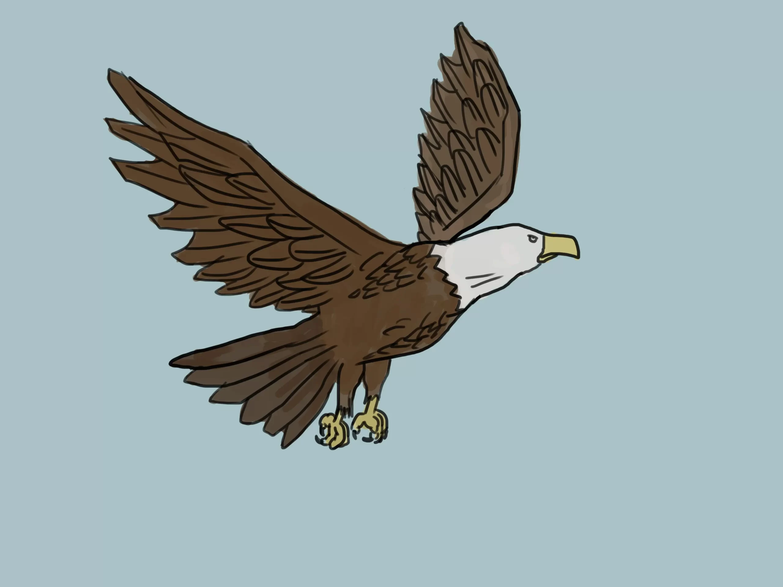 Guida Illustrata per Disegnare un’Aquila