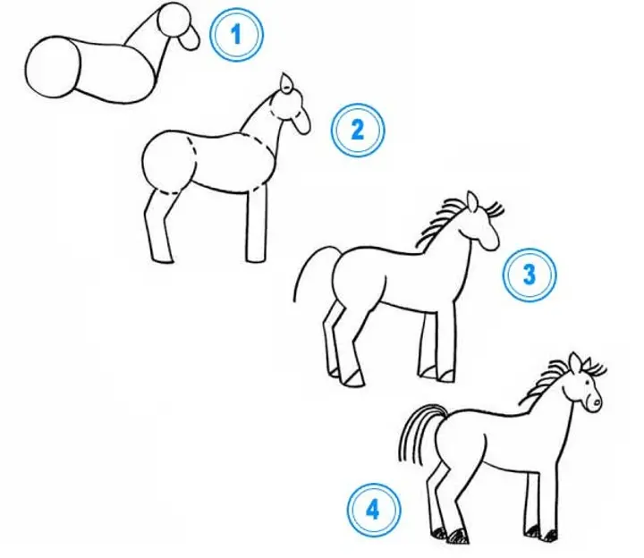 Passo 1: Disegna la testa del cavallo