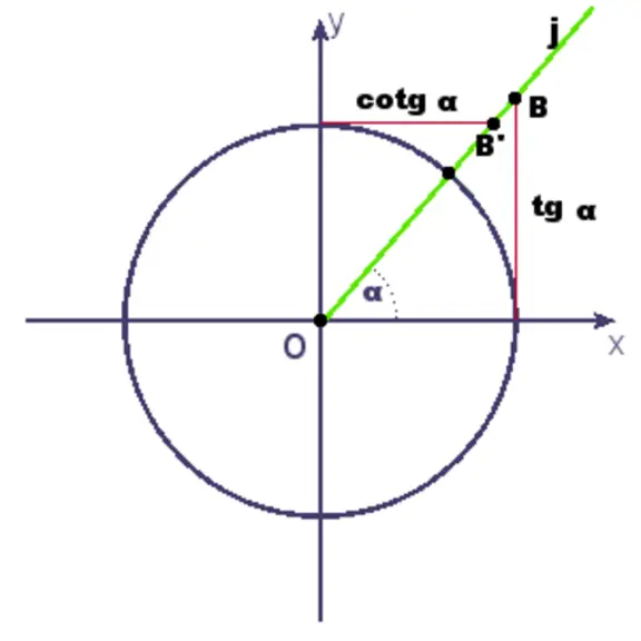Definizione di cotangente di un angolo sulla circonferenza goniometrica