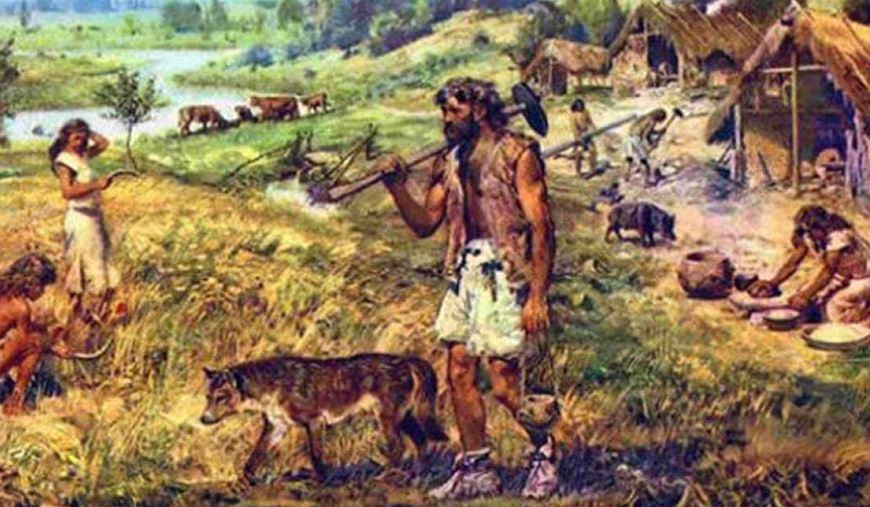 Come nacque l'allevamento nel Neolitico?