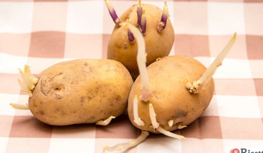 Come si fa a capire se le patate sono ancora buone?