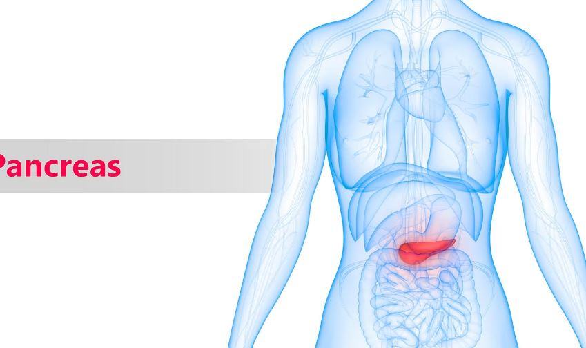 Cosa si rischia con la pancreatite?