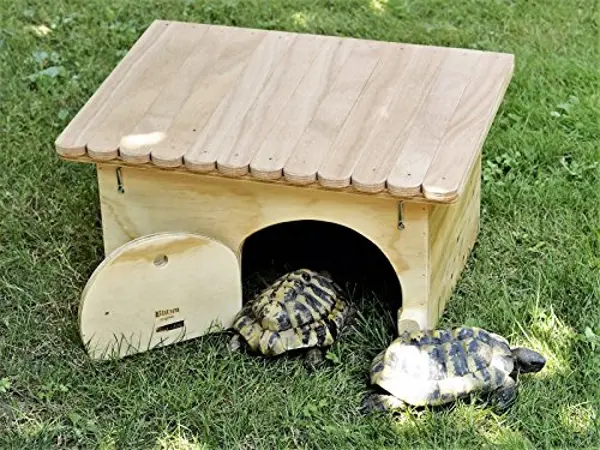 Costruire un tavolo per tartarughe
