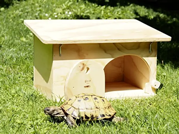 Crea un rifugio per la tua tartaruga di terra