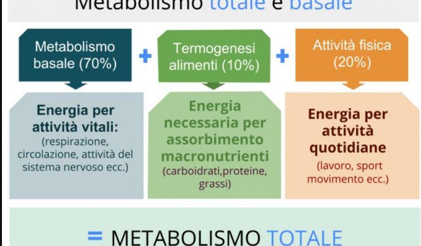 Diversi tipi di metabolismo?