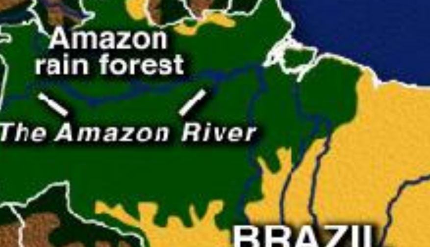 Dov'è la foresta amazzonica?