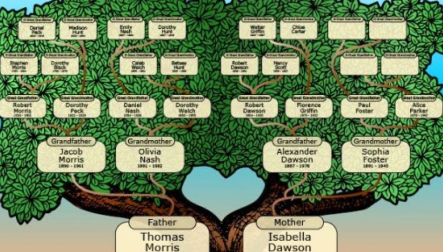 Per creare un albero genealogico?