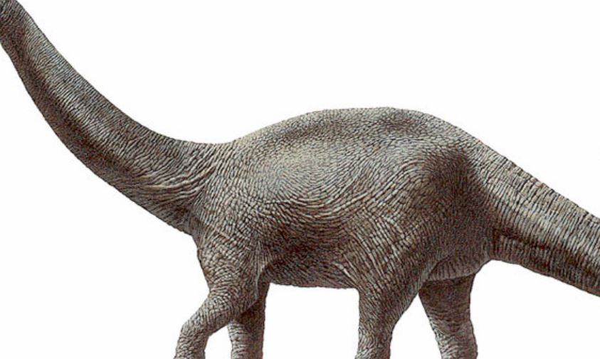 Qual è il peggior nemico del brontosauro?