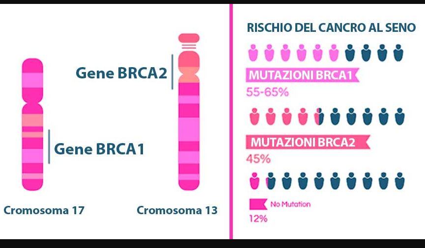 Quale gene fanconi corrisponde al gene di predisposizione al cancro mammario brca2?