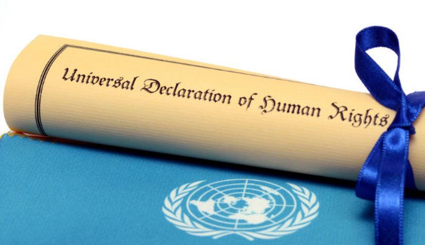 Quali sono gli articoli più importanti della Dichiarazione universale dei diritti dell'uomo?