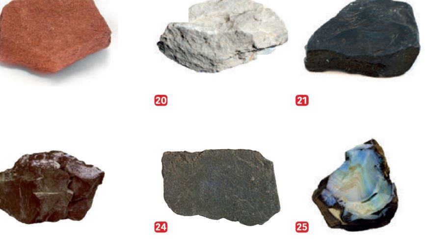 Quali sono i 3 tipi di rocce?