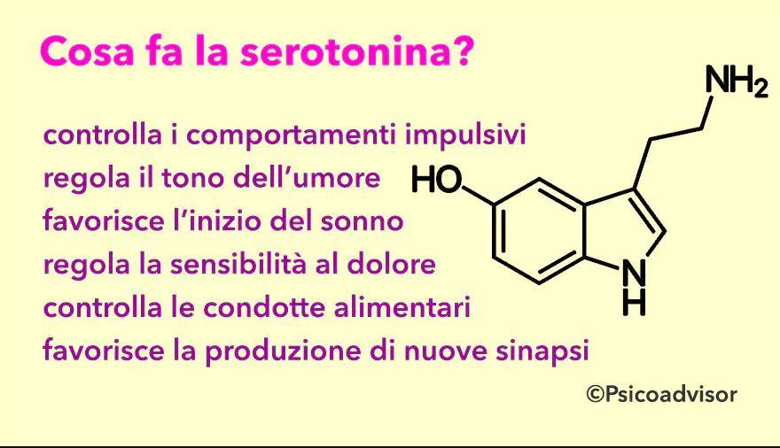 Quando viene secreta la serotonina?