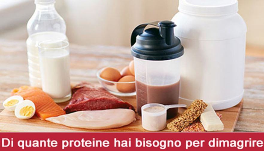 Quante proteine mangiare al giorno per perdere peso?