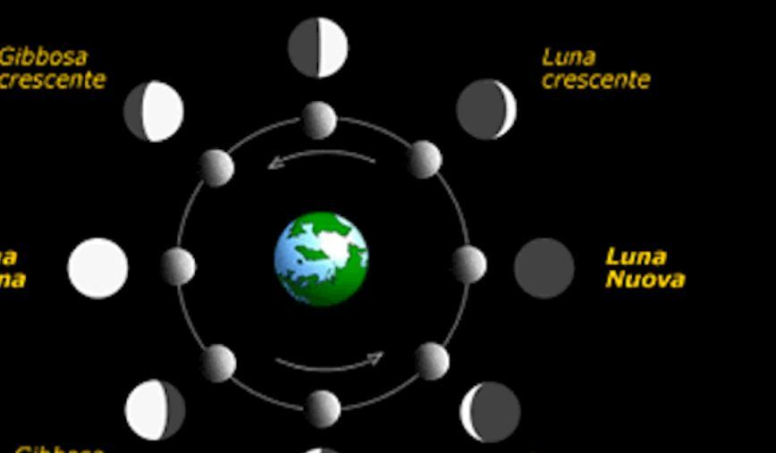 Quante sono le fasi lunari fondamentali?