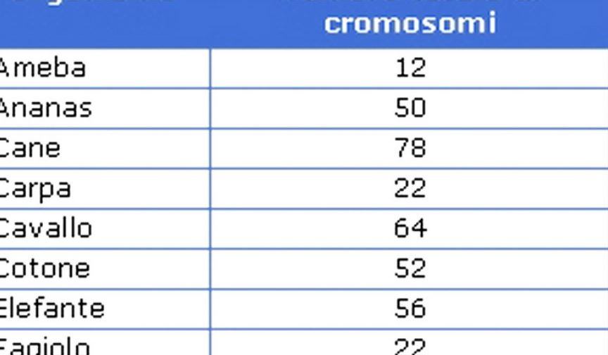 Quanti cromosomi ci sono in un corpo umano?