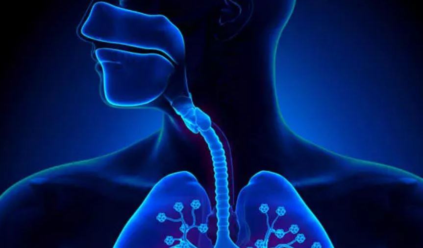 Quanti tipi di polmoniti ci sono?