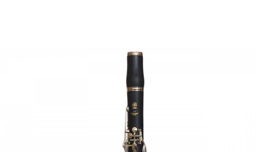 Quanto costa il clarinetto nuovo?
