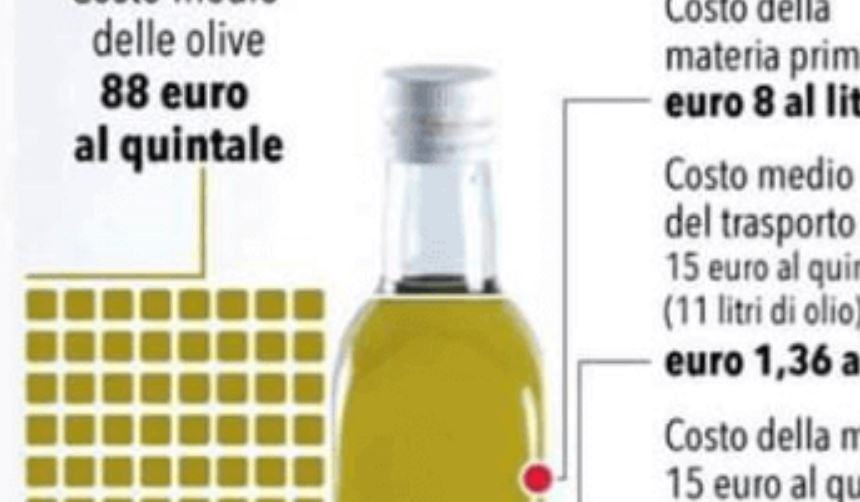 Quanto costa un chilo di olive?