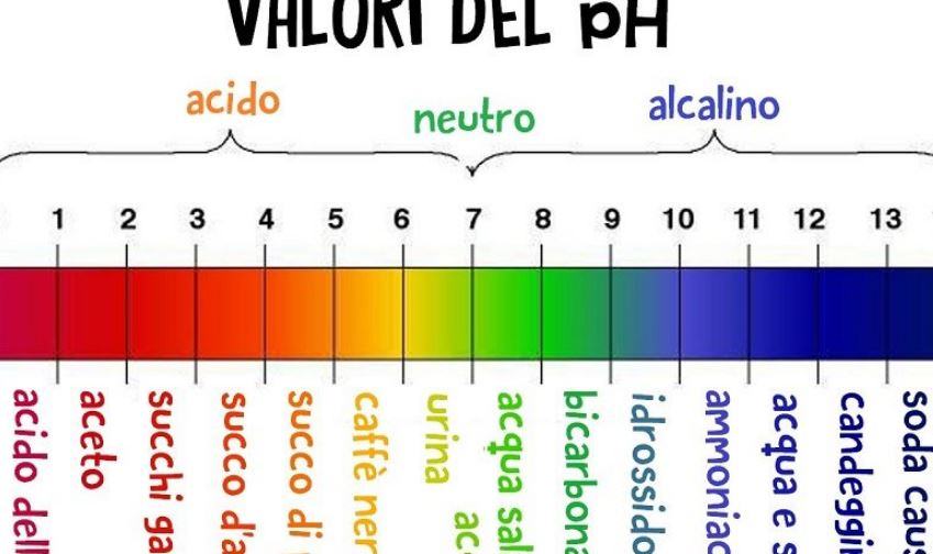 Quanto deve essere il pH del vino?