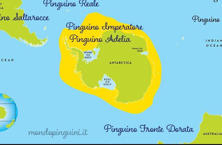 Dove vivono i pinguini?