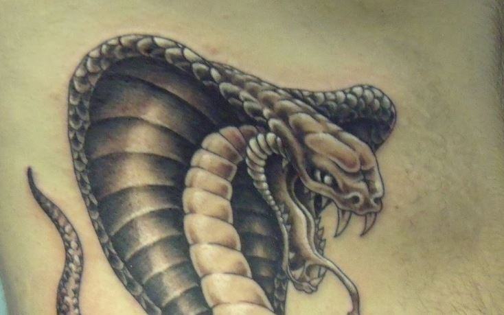 Che vuol dire tatuarsi un serpente?