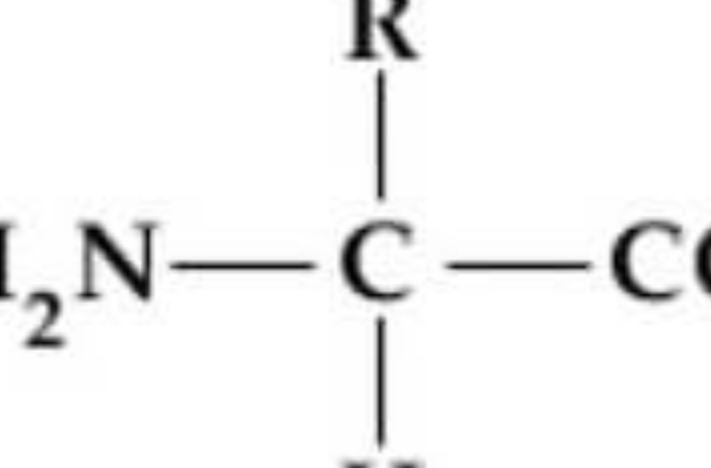 Che cosa si intende per aminoacido in forma di ione dipolare?