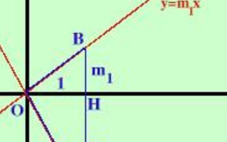 Cosa supponiamo che 2 rette sono perpendicolari in mezzo tutti loro?