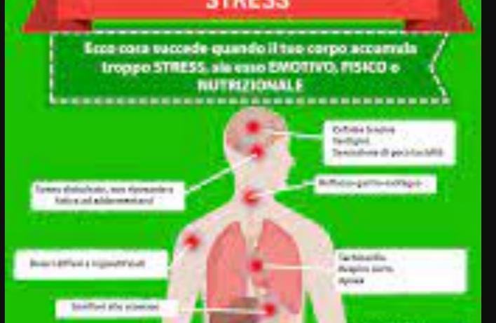 Come certamente vertebre a posto la stress e ansia quindi solo come stress e ansia e anche tensione idrostatica?