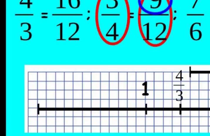 Come si posizionano le frazioni su una retta?