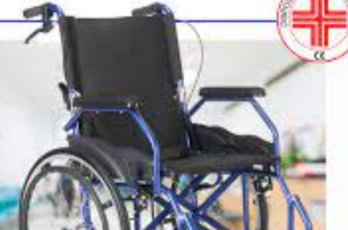 In quale equivalente comparvero le prime sedie a rotelle proveniente proveniente da azione?