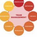 Cosa significa team management?