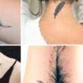 Cosa significa tatuarsi una piuma?